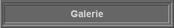  Galerie 