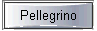  Pellegrino 